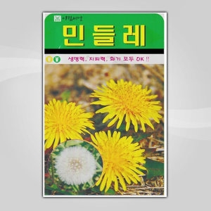 화분월드 민들레 씨앗 1000립_이미지