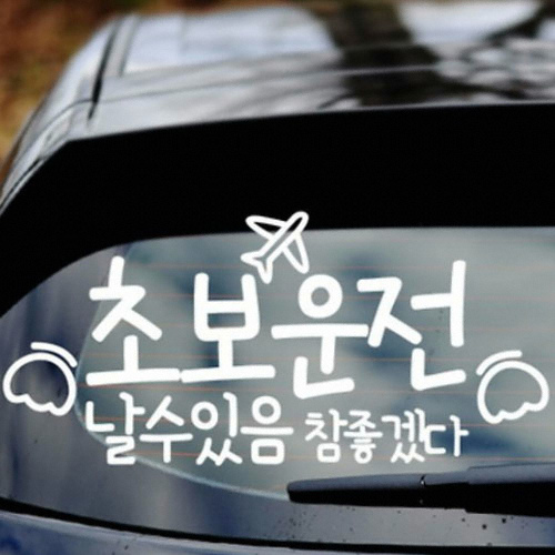 (548) 날수있음참좋겠다 초보운전 스티커