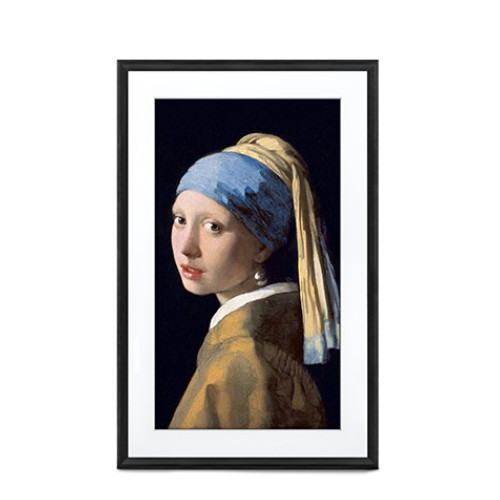 넷기어 뮤럴 디지털 캔버스 ll MC327