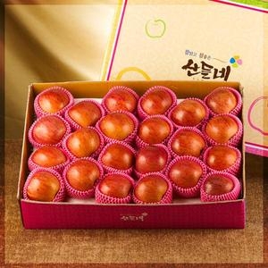 달고 맛있는 경북 꿀맛사과 22과내외 5kg