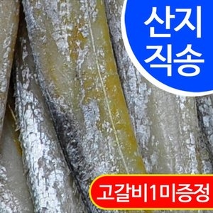 임피수산  반건조 풀치 45~52cm [25개] 상품이미지