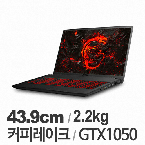 MSI GF시리즈 GF75 Thin 8RC 파워팩 (SSD 256GB)