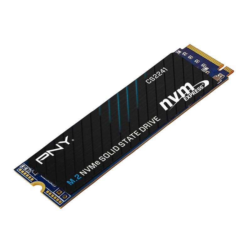 PNY CS2241 M.2 NVMe 제이씨현 (500GB)_이미지