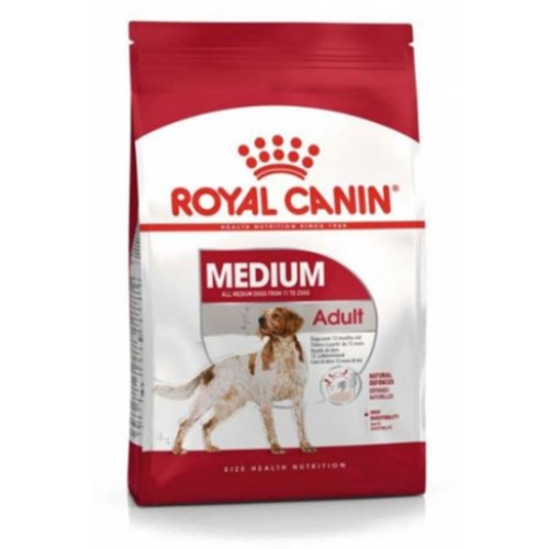 �ѱ����� �ξ�ĳ�� �� �̵�� ���Ʈ 10kg