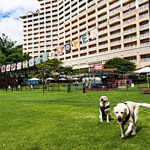 대명리조트 ㅤ홍천 소노벨 비발디파크 E (강원)_이미지