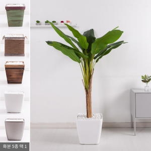 플라워트리 플라워트리 뉴타로트리화분set 165cm KO  5-5  조화 FREOFT이미지입니다. 누르면 해당 게시물로 새창이동합니다.