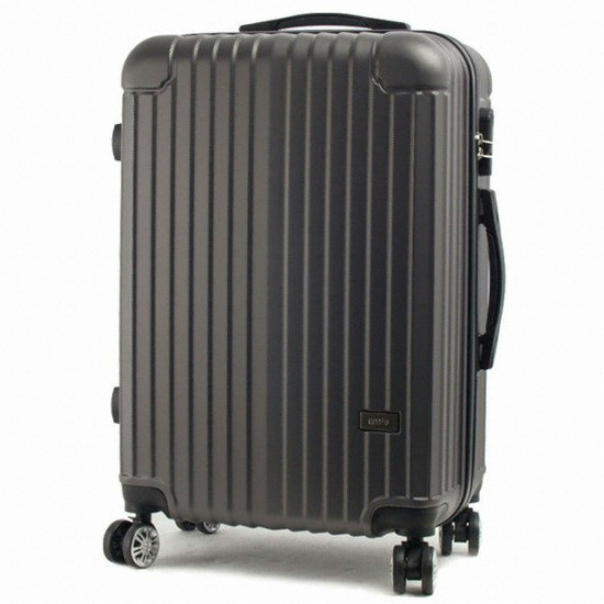 ���ٽ� 25��ġ ĳ���� EA-105 (�ޱ׷���)