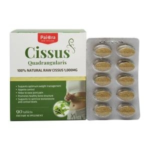  파이오라 시서스 1000 90정 [1개]