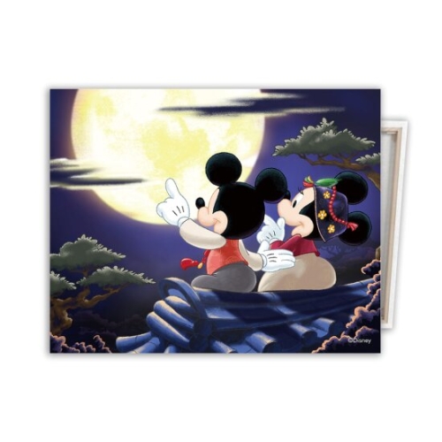 ����� �������ڼ� �ѱ��� ��Ű�� �̴� 40x50 ĵ���� DBS015