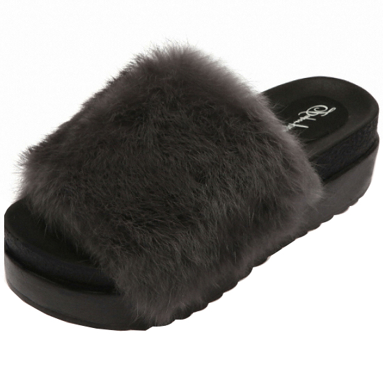 �����������۴� �������÷��� õ���䳢 �� ������ PP1392 (�׷���)