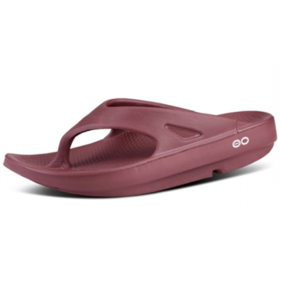 ������ ��������