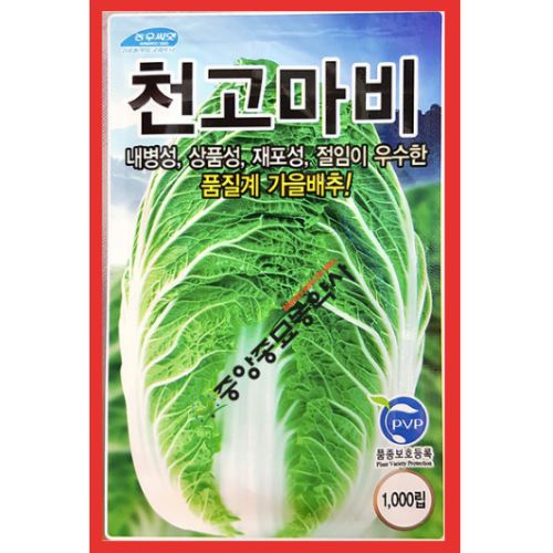 �Գ�쾾�� õ������ ���� 1000��