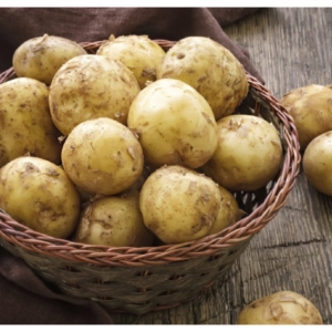 산해직송 해남 수미감자 대 / 3kg