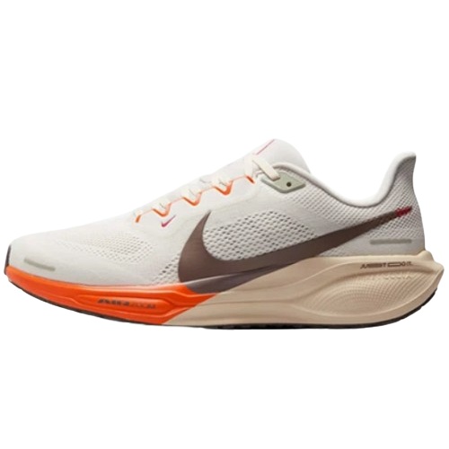 나이키 페가수스 41 HV5975-102 (병행)_이미지