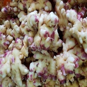 우가네농장 세척<b>생강</b> 1kg