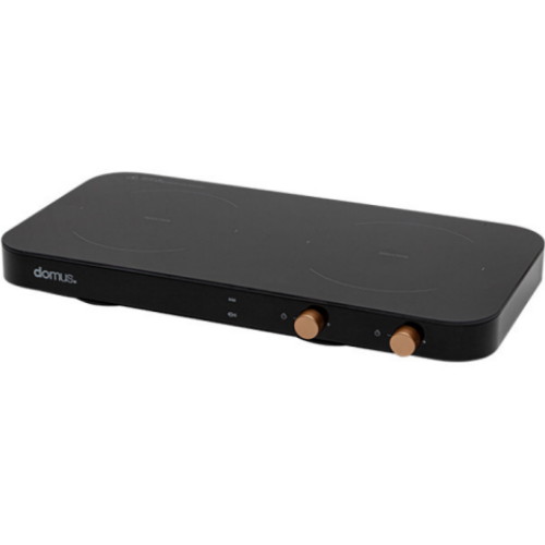 ������ ���̿� DI-G1513FS