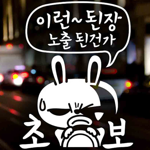 제제데코 이런 된장 노출된건가 초보운전 스티커