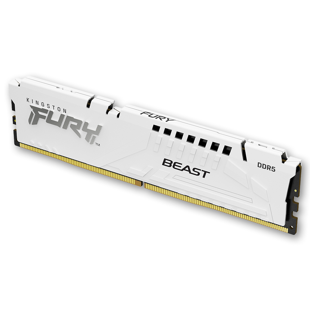 킹스톤 FURY DDR5-5600 CL36 Beast 화이트 코잇 (16GB)_이미지