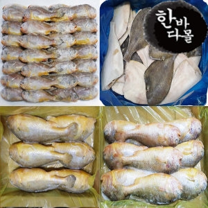 �ѹٴٸ� ������ ����3.5kg52�̳��� �����ⱸ��