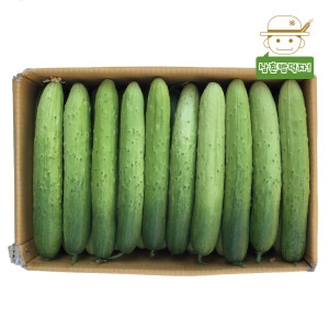 우체국쇼핑 수분의 여왕 백오이 2kg