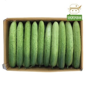 우체국쇼핑 수분의 여왕 백<b>오이</b> 2kg