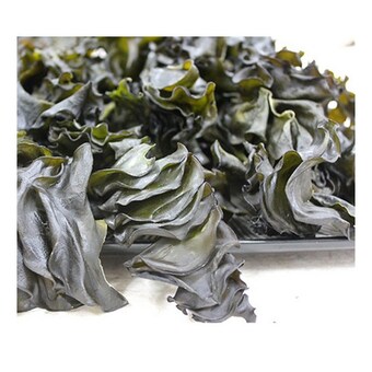 바다속풍경 햇미역귀 250g