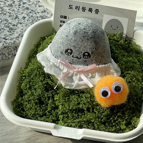 반려돌 힝도리_이미지