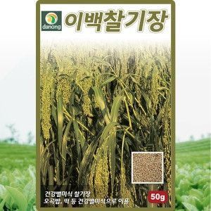 �ٳ� �̹������� ���� ������ �� ���� 50g