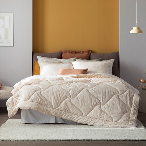 ��ǰ �� �̹���