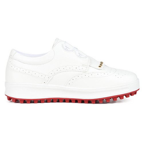 �ؽ�Ʈť WP1054 NQ208 ȭ��Ʈ