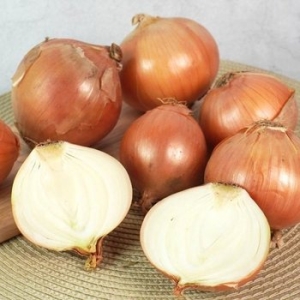 블루밍그린 국내산 단단한 햇 양파 특 10kg (1개)_이미지
