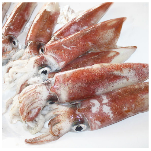 고씨네수산 손질 한치 중대 3개(마리) 700g내외 (1개)_이미지