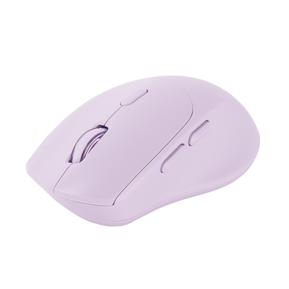 ��Ŭ��Ŀ OFFICEPRO �������� �������� ���� ��������