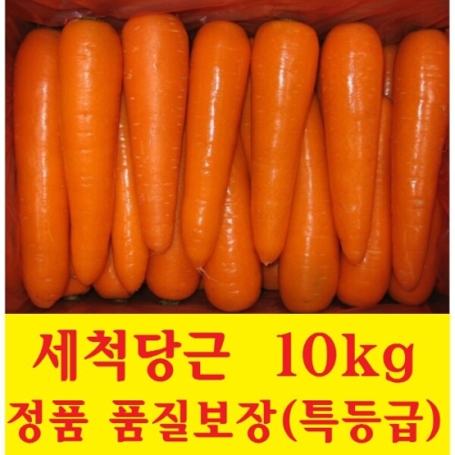 광주종합농산 세척 당근 특등급 10kg (1개)