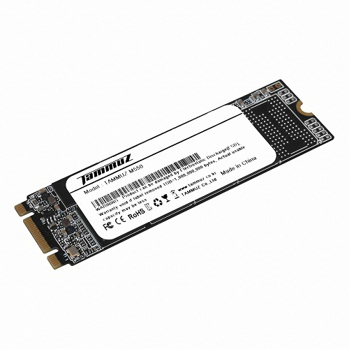 타무즈 M550 M.2 SATA (128GB)_이미지