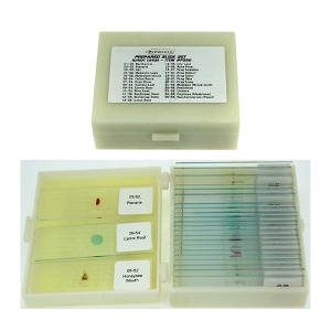 �����Ķ�Ʈ ���� /���̰������ ǥ����Ʈ/JS-46226