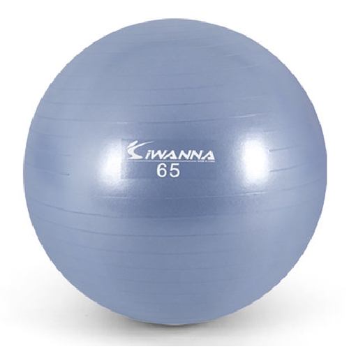 ���̿��� ��Ƽ����Ʈ �Ľ��� ���� 65cm
