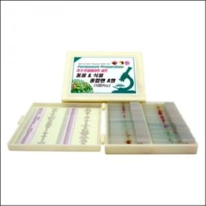[불명] 영구프레파라트-동물 식물 종합편A형 100pcs