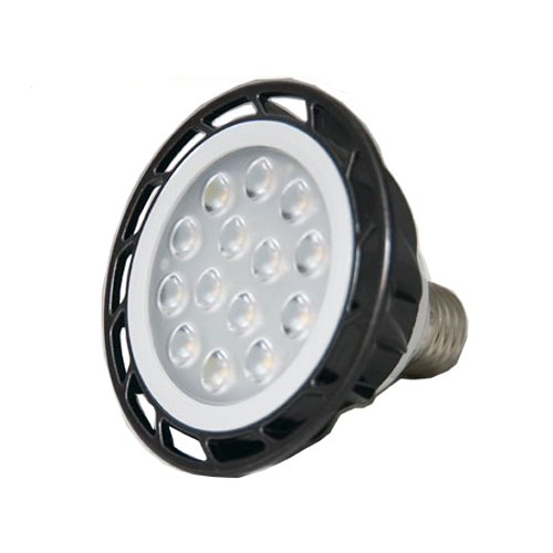 내셔날스테이트코리아 NASPIL LED PAR30 집중형 할로겐전구 전구색 15W (20개)