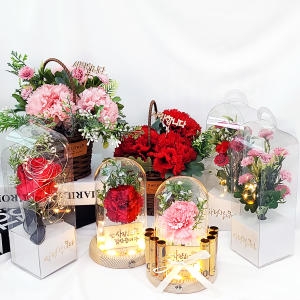 앙증카네이션캔버스