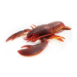 반디 소프트 애니멀 가재