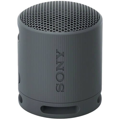 SONY SRS-XB100