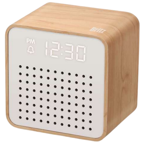 Britz �긮�����ͳ��ų� BZ-REC200