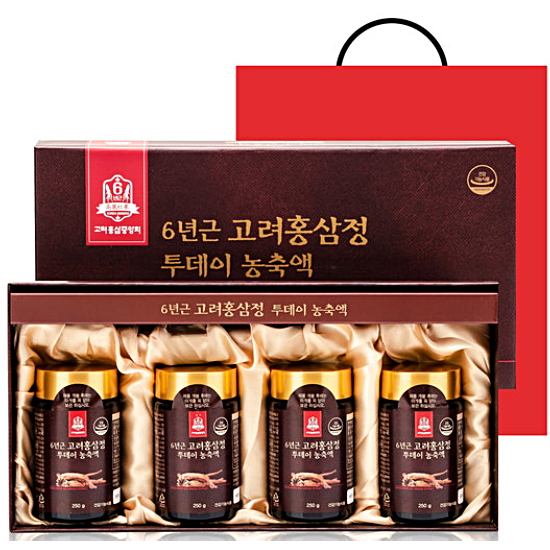 고려홍삼중앙회 6년근 고려홍삼정 투데이 녹용홍삼농축액 250g 4개입 (1개)_이미지
