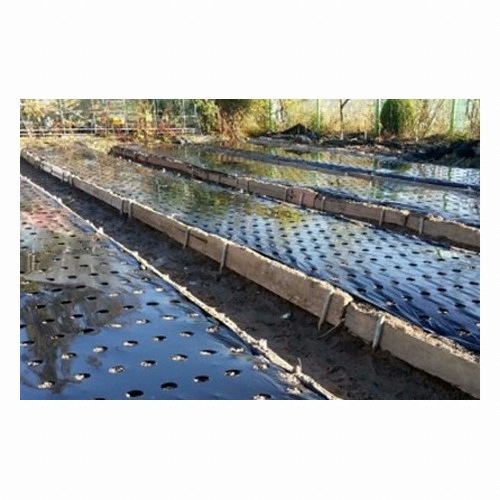 세원비닐 흑색 유공 멀칭비닐 0.02mm 10구 (160cm x 400m)_이미지