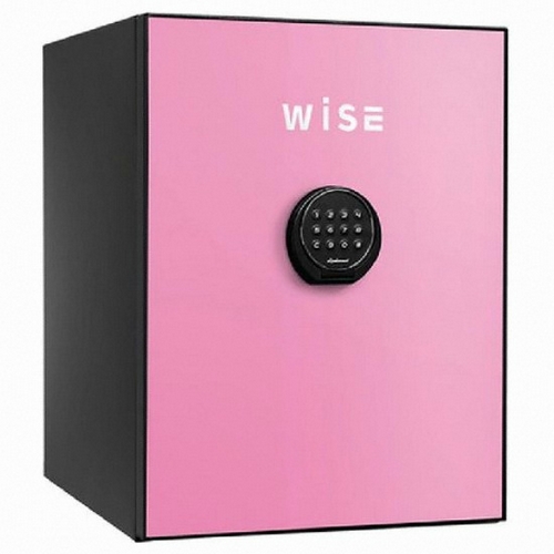 디프로매트 와이즈 WS500_이미지