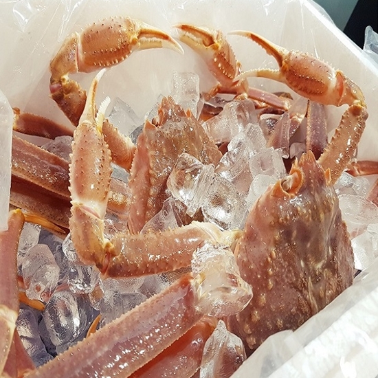 살아있는 대게 1개(마리) 1kg (1개)_이미지