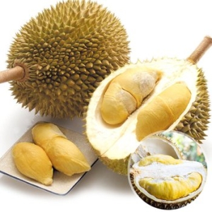 웰프레쉬 태국산 냉동 통두리안10kg_이미지