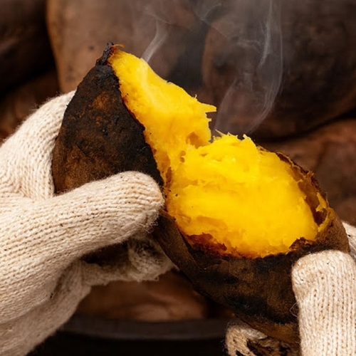 화산농협 해남 황토 호박고구마 4kg + 꿀고구마 4kg (1개)