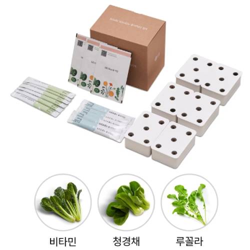 LG전자 틔운 씨앗키트 패키지 푸릇한 패키지 B